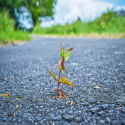 Vychází nová vyhláška pro znovuzískané asfaltové směsi